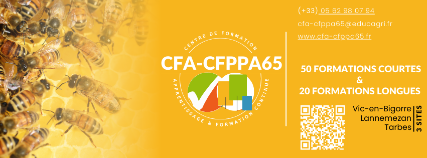 cfa-cfppa